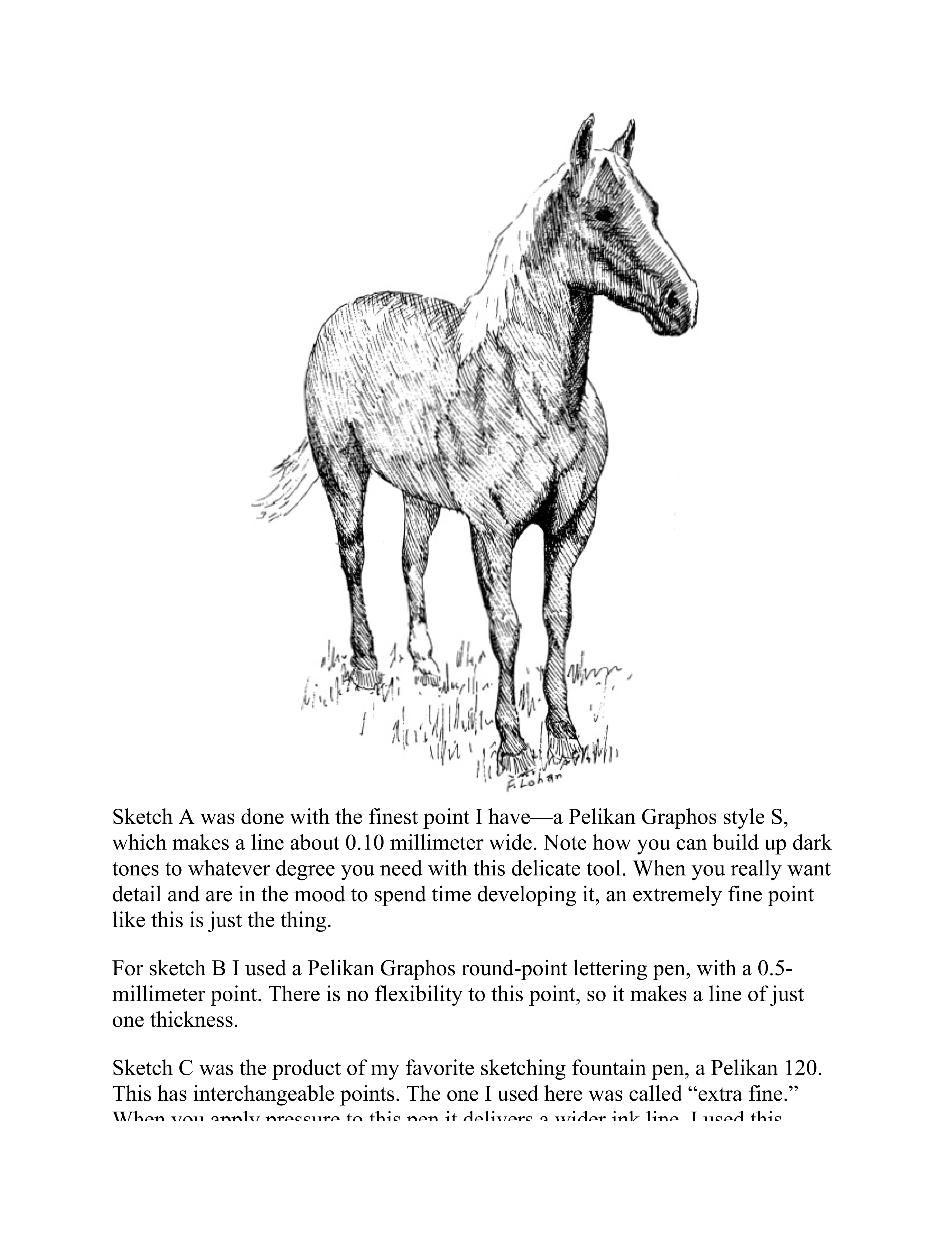 آموزش نقاشی طراحی سیاه قلم شهرری